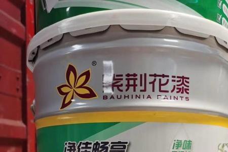 紫荆花小清爽乳胶漆2合一怎么样