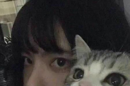 女生的猫是哪个部位