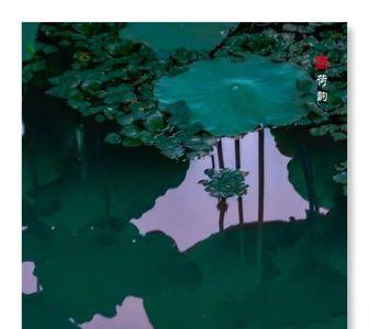月色清浅是什么意思