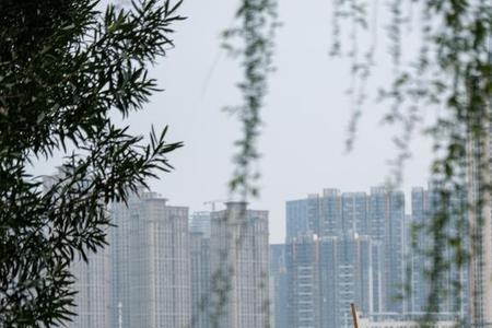 武昌沙湖是湿地公园吗