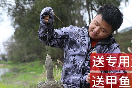 甲鱼钩只能钓甲鱼吗