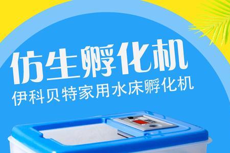 孵蛋器多久翻一次蛋