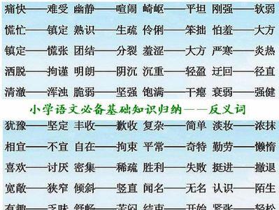 牛奶的反义词是什么