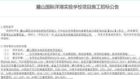 麓山国际洋湖学校好吗