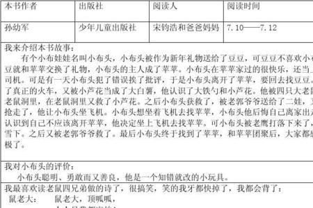 小布头奇遇记概括最准确的一项
