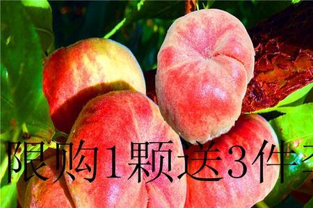蟠桃的蟠为什么是虫字旁