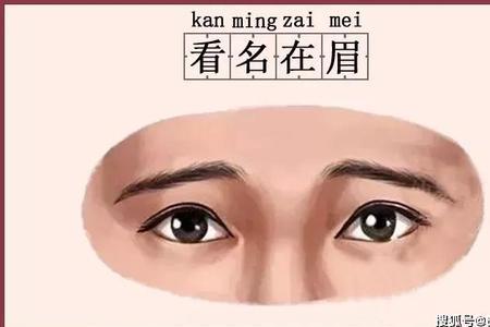 耳朵和眉毛哪个高