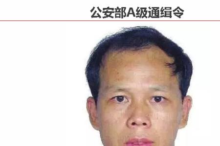 a级逃犯什么概念