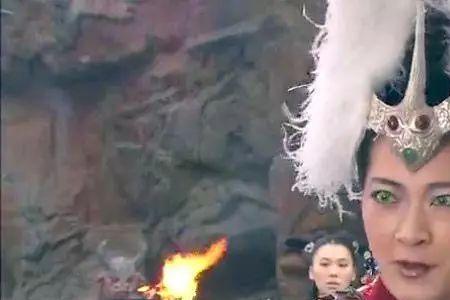 玉面狐狸原型