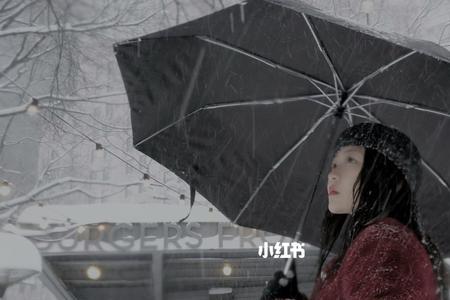 凛冬雪别名