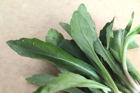 一起吃野菜是什么意思