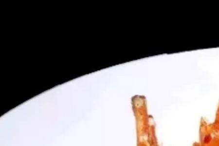 海胆酱焗小青龙配方
