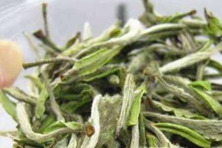 白牡丹能用紫砂壶泡吗
