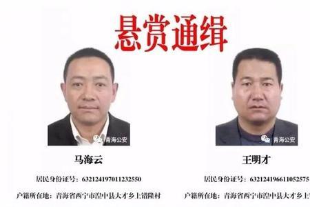 怎么查自己是不是通缉犯