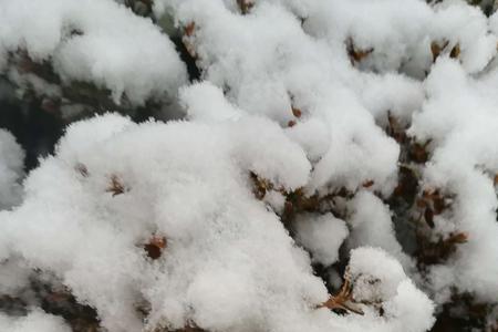 雪花在空中飞舞着加形容词