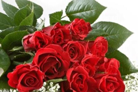 551朵花代表的爱情含义