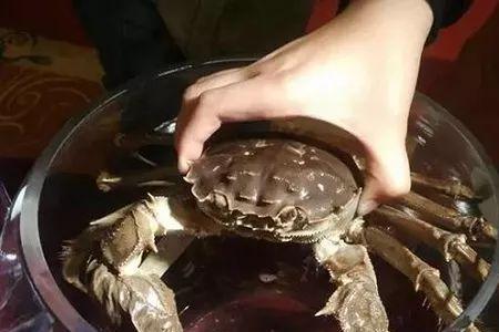 超市卖的乌龟是什么品种