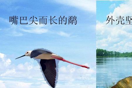 鹬蚌相争中三个角色的不同心理