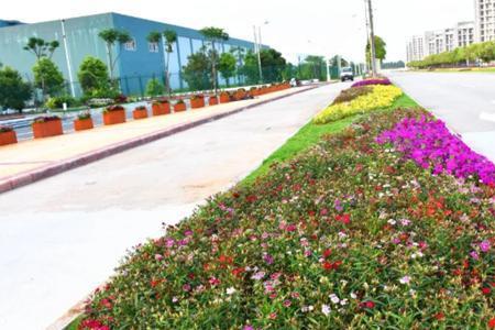 公路绿化属于环保工程吗