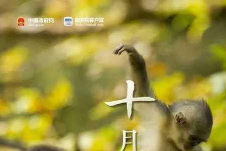 8月1日距离2022年还有多少天