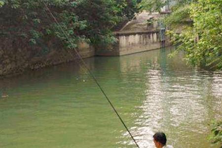 东南风二级适合钓鱼吗