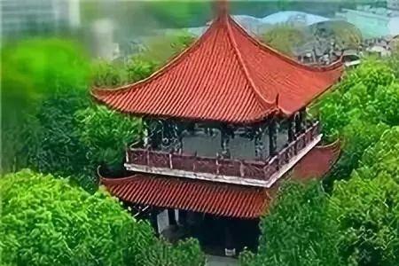 有关青山的表白的诗