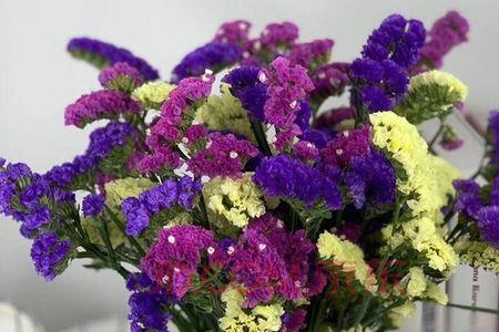 买的花快递时间长可以拒收吗