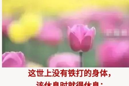 忙碌的早晨写三个事例造句