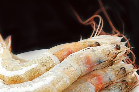 海白虾和对虾的区别
