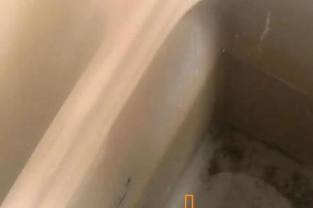 马桶水位调最高还是很小