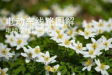 高低刹车线不接能走吗