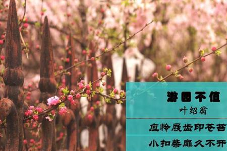 应令其齿印苍苔应的意思
