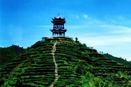 凌云茶山金字塔景区门票多少