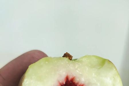 红核桃子是什么品种九月