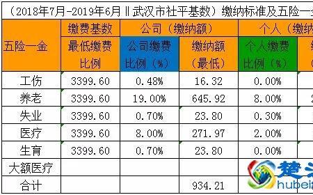 武汉社保怎么查询账户类型