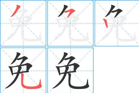 兔的笔顺怎么写