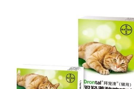 吡喹酮叫什么