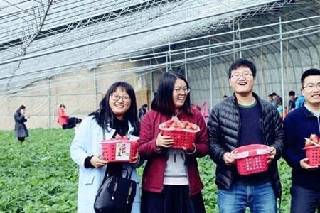 农场采摘活动的意义