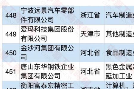 绵阳最大的民企排名