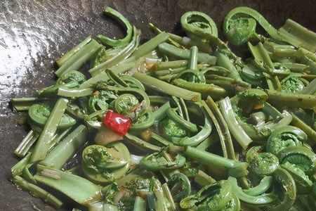 广东菜山野菜做法