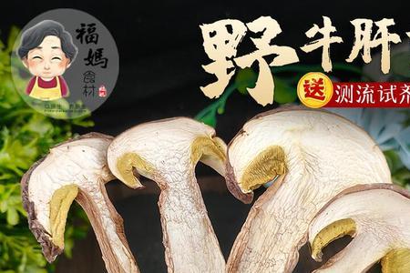 像牛肚一样的是什么菇