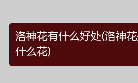 洛神花在湖南能过冬吗