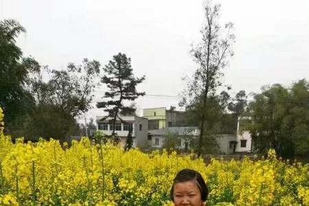 失去母亲后一年中注意什么