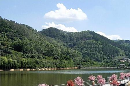 竹山湖可以自带野餐具吗