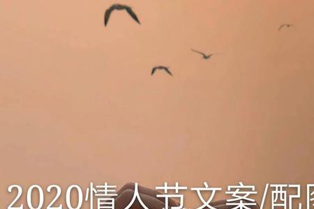 两对情侣照片的文案