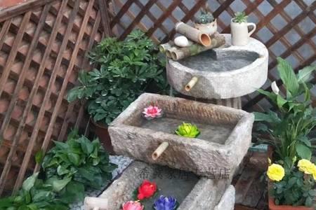 石槽养鱼冬天怎么办
