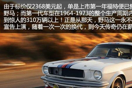 福特母公司