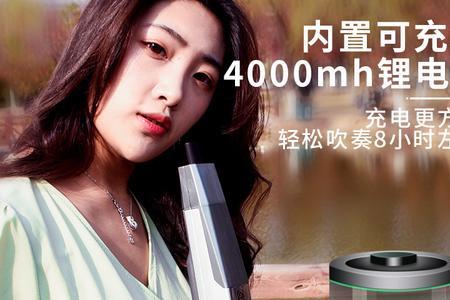 托马斯电吹管重量和尺寸