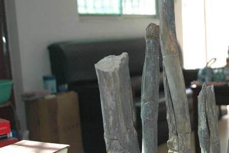 古代代表平安的动植物