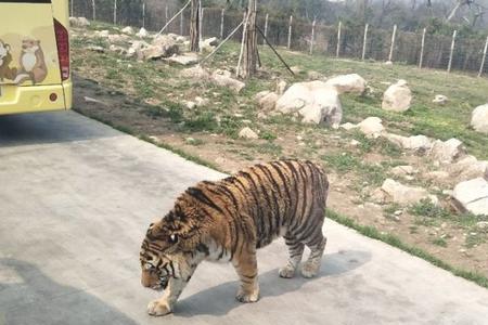 西安动物园关门时间